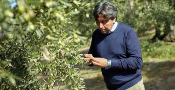 Olive Oil Mill Tour with Tasting near Molfetta & Bari