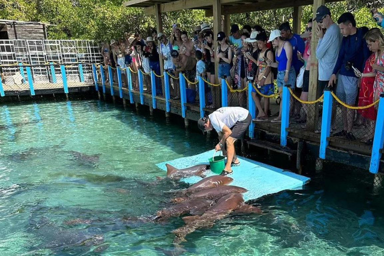 From Cartagena: Full-Day Rosario Islands Tour & Oceanarium
