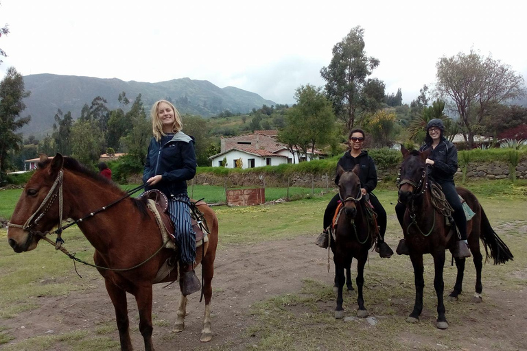 Huaraz : Randonnée à cheval dans les Andes de Callejon de Huaylas