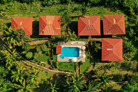 Puerto Maldonado: 3-Day Amazon Lodge Tour with Pool