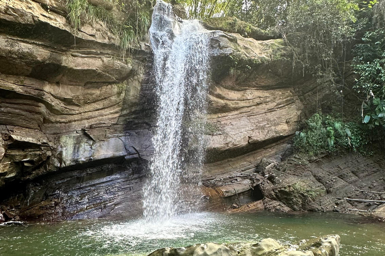 Explore Portland’s Beaches,Waterfalls and Mountains