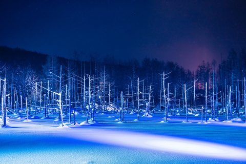 Sapporo: Hokkaido Biei Best 5 Photo Spots Day Tour Shared Tour, Meet at Sapporo Station