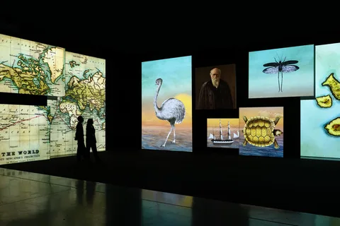 Galería Nacional de Retratos Sin Marco: Historias que cobran vida
