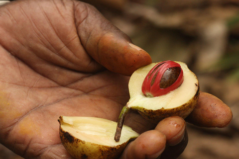 Walking Stone Town Tour + Spice Farm Tour with Guide