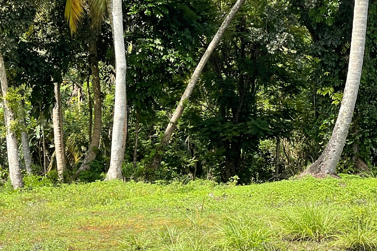 Koggala Lake Guided Boat Safari with Hotel Pickup & Drop Off