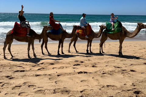 Viagem de 1 dia para Tânger, Marrocos, saindo de Málaga Tudo incluído