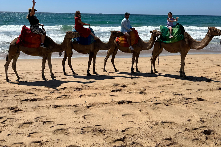 Escursione di un giorno a Tangeri in Marocco da Malaga All inclusive