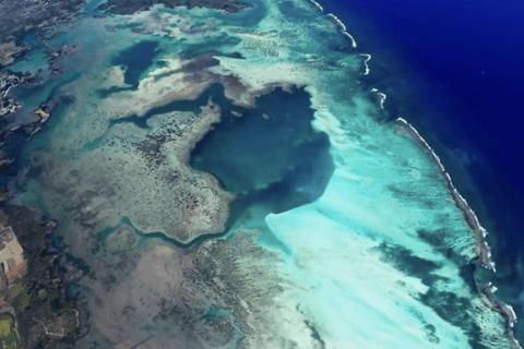 Excursión privada en hidroavión con vistas panorámicas de MauricioVuelo panorámico en hidroavión sobre la isla de Ámbar