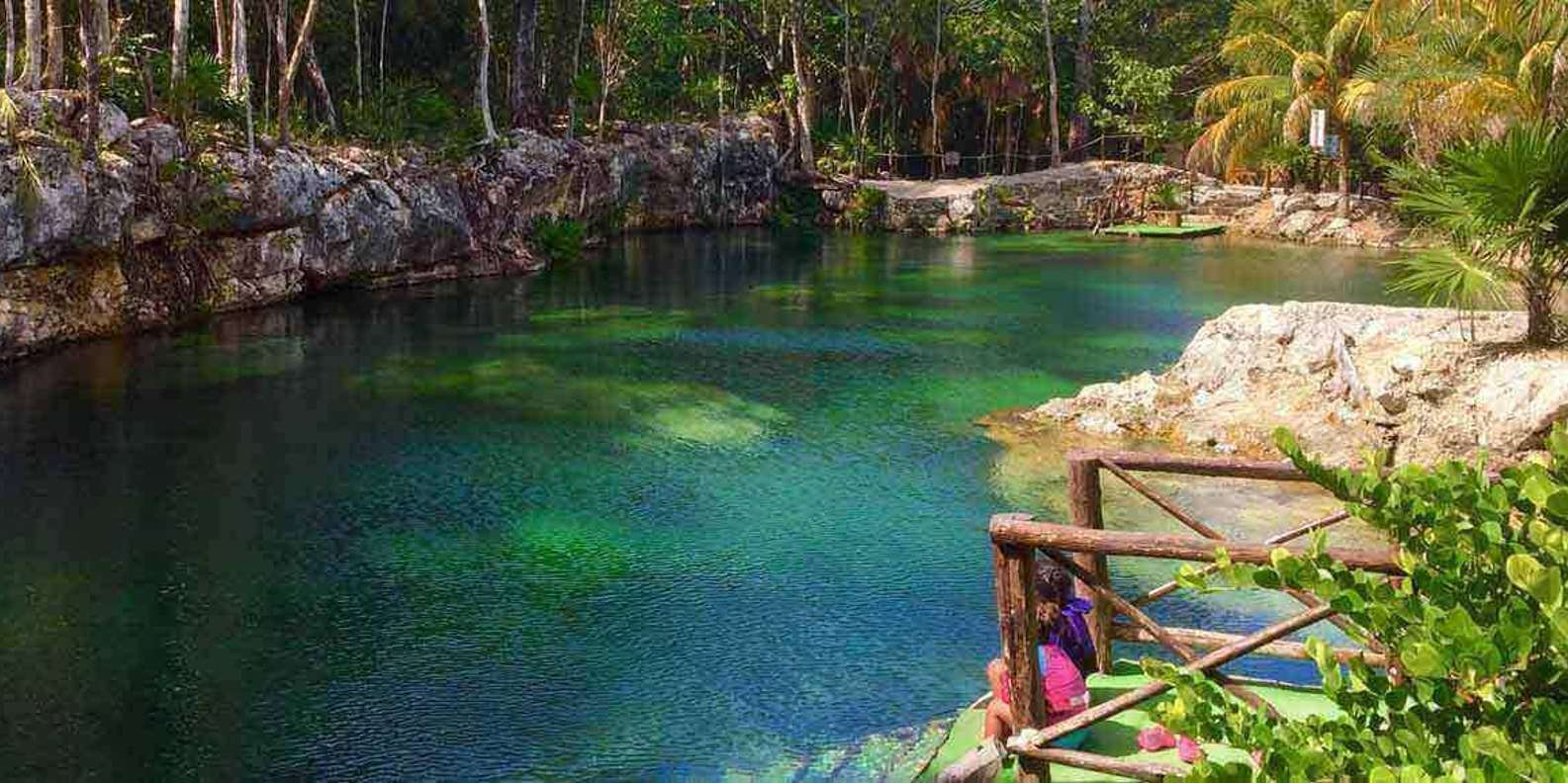 Cenotes Casa Tortuga | GetYourGuide