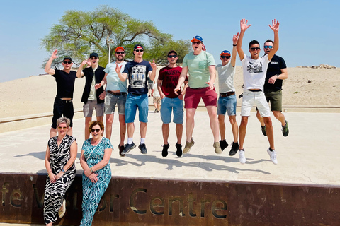 From Manama: Bahrain Full-Day Tour by Luxury Bus