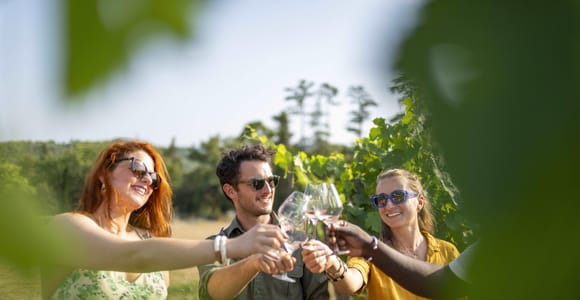 Weintour in der Provence – Kleingruppentour ab Cannes