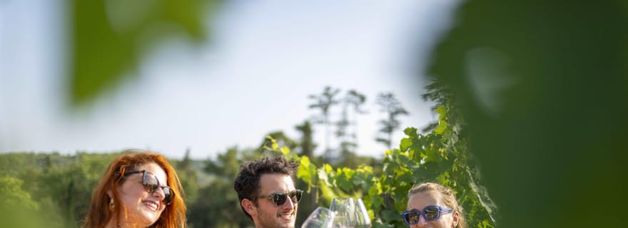 Circuit des vins de Provence - visite en petit groupe au départ de Cannes