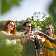 Provence Wine Tour - Small Group Tour from Cannes