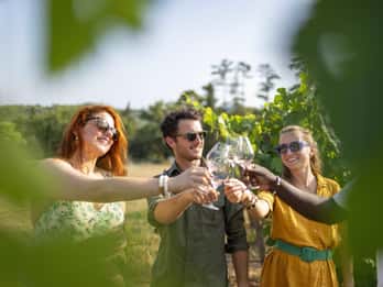 Provence Wine Tour - Small Group Tour from Cannes