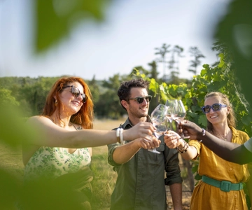 Turul vinurilor din Provence - Tur de grup mic de la Cannes