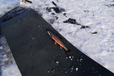 Abisko : Pêche sur glace