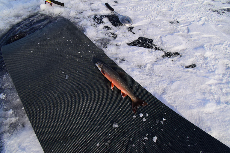 Abisko: Pesca no gelo