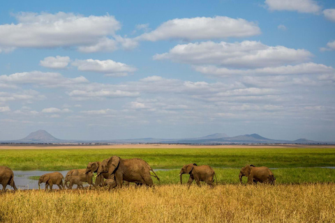 5 Tage Tarangire-, Ngorongoro- und Serengeti-Nationalpark