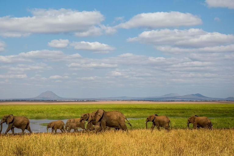 5 Tage Tarangire-, Ngorongoro- und Serengeti-Nationalpark