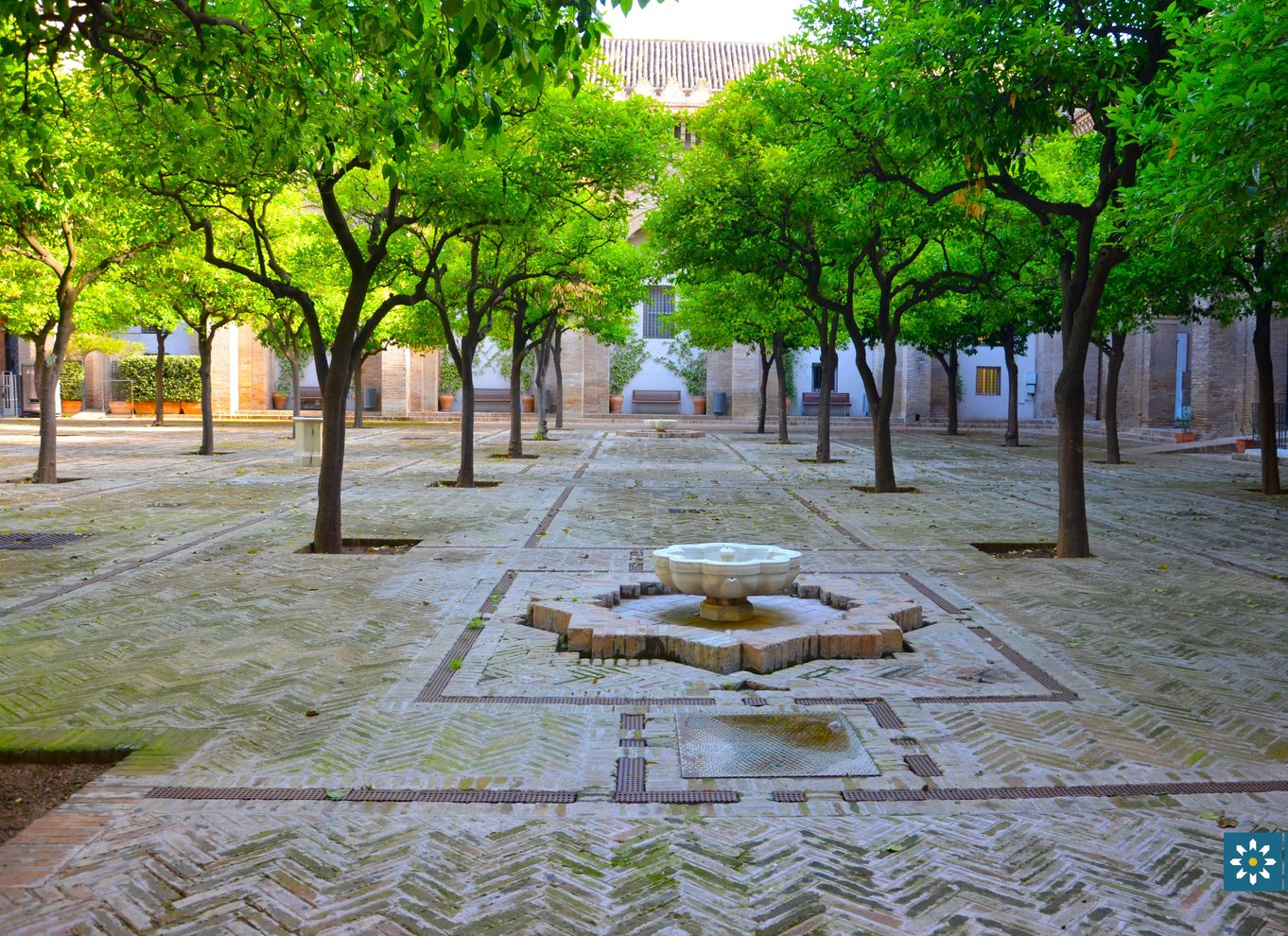 Sevilla: Katedralen, Giralda og Royal Alcázar guidet tur