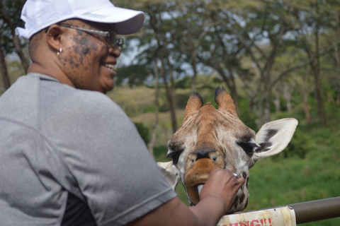 Nairobi: Giraffe Center And Karen Blixen Tour Giraffe Centre, Elephant Orphanage And Karen Blixen
