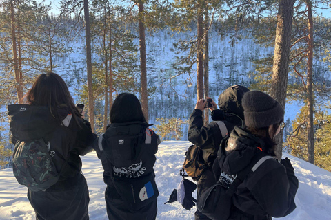 Rovaniemi: Korouoma Frozen Waterfalls Hike & Hot BBQ Lunch Rovaniemi: Korouoma Small Group Guided Hike & Hot BBQ lunch