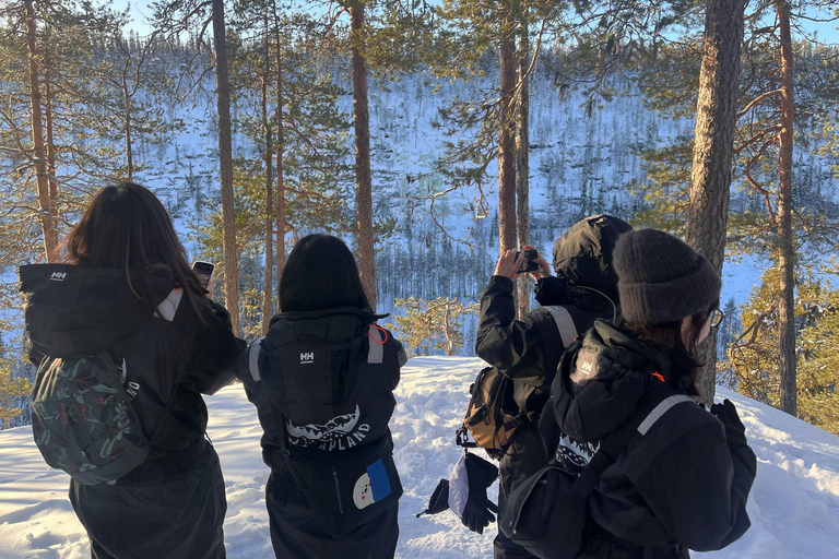 Rovaniemi: Korouoma Frozen Waterfalls Hike & Hot BBQ Lunch Rovaniemi: Korouoma Small Group Guided Hike & Hot BBQ lunch