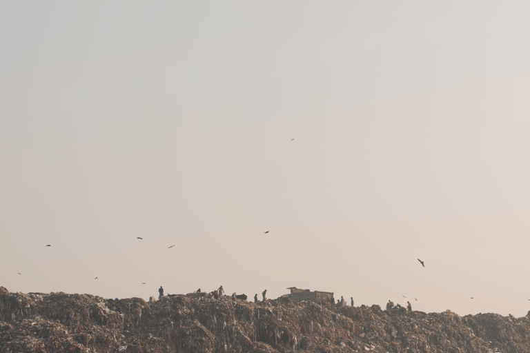 Delhi: Tour durch eine Slum-Siedlung mit Mittagessen und Rikscha-FahrtDelhi: Tour durch die Slums mit Mittagessen und Rikscha-Fahrt