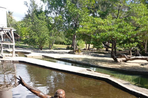 Vanuatu: Island Tour with Snorkelling, Hot Springs & Kayak