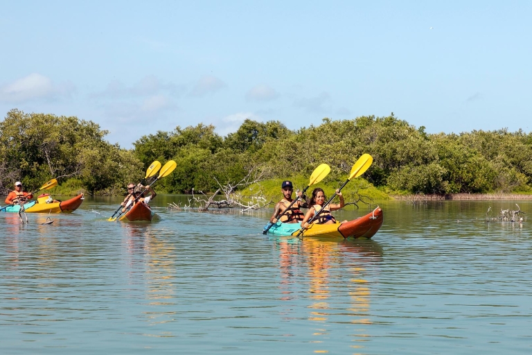 Holbox: Geführtes Kajakfahren durch die Mangroven von Holbox