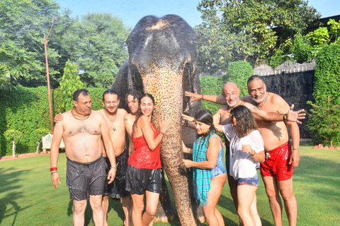 &quot;Jaipur Elephant Experience: Bond, Connect, and Learn&quot;