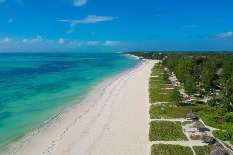 Jozani Forest &amp; Paje Beach Trip mit The Rock Restaurant