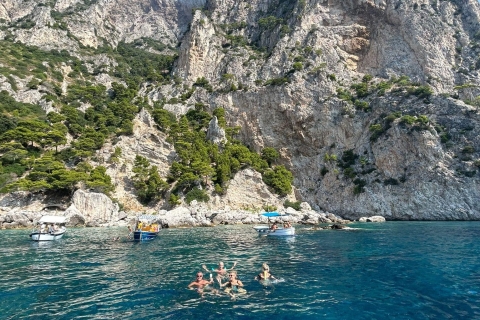 From Sorrento: Capri Semi-Private Boat Tour and Grotto Visit