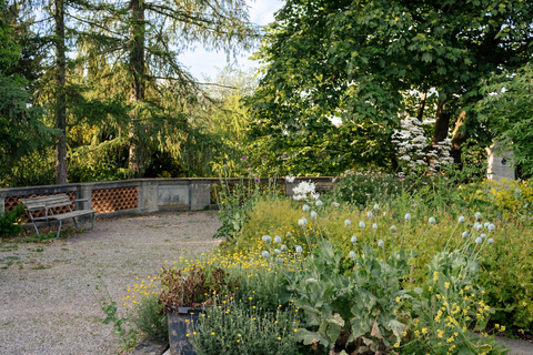 Zürich: A Walk Through Zurich's Secret Green City Group Tour