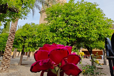 Córdoba: Guided experience in the Cathedral Mosque (TICKETS NOT INCLUDED) Córdoba: Mosque-Cathedral Experience