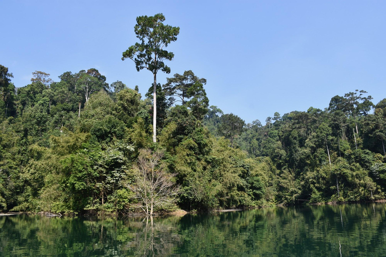 Au départ de Krabi : Croisière sur le lac Cheow Lan et randonnée dans la jungle de Khao Sok