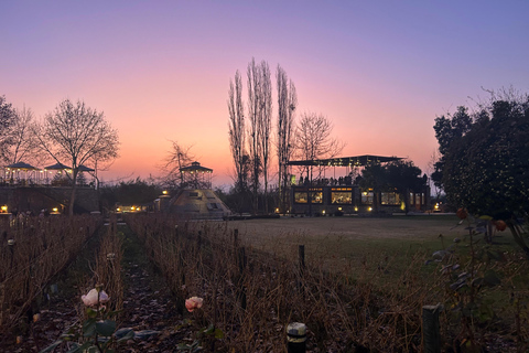 Aylan Family Wines | The Sunset Tour