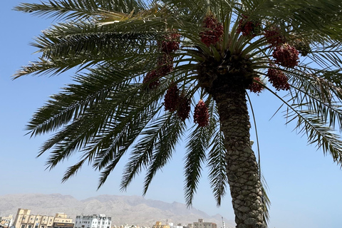 From Muscat: East Coast Heritage Tour with Lunch Private East Coast Heritage Tour with Lunch