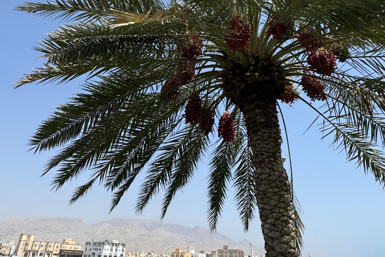 From Muscat: East Coast Heritage Tour with Lunch Private East Coast Heritage Tour with Lunch