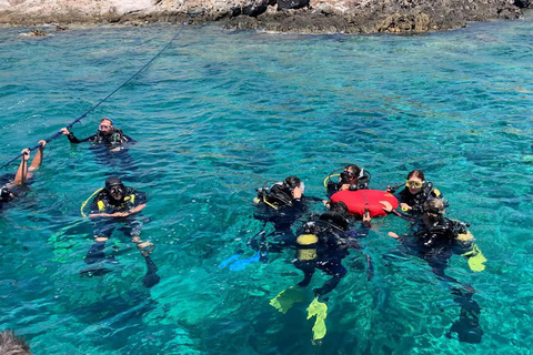 Diving Budva: 2-Tank Scuba Diving Tour for Certified Divers