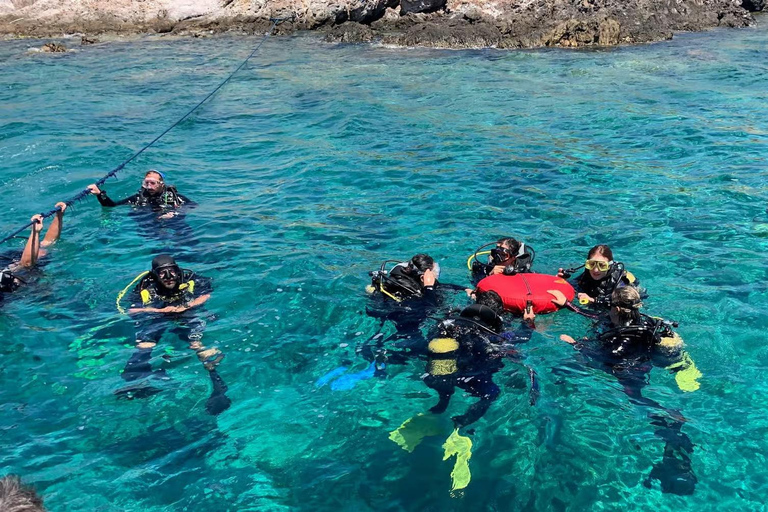 Diving Budva: 2-Tank Scuba Diving Tour for Certified Divers