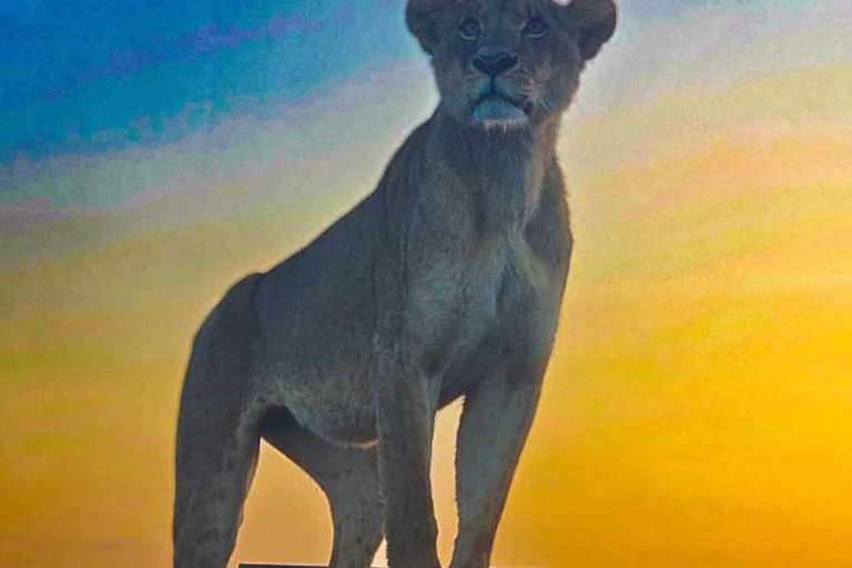 Nairobi: Nairobi National Park Safari with Guide