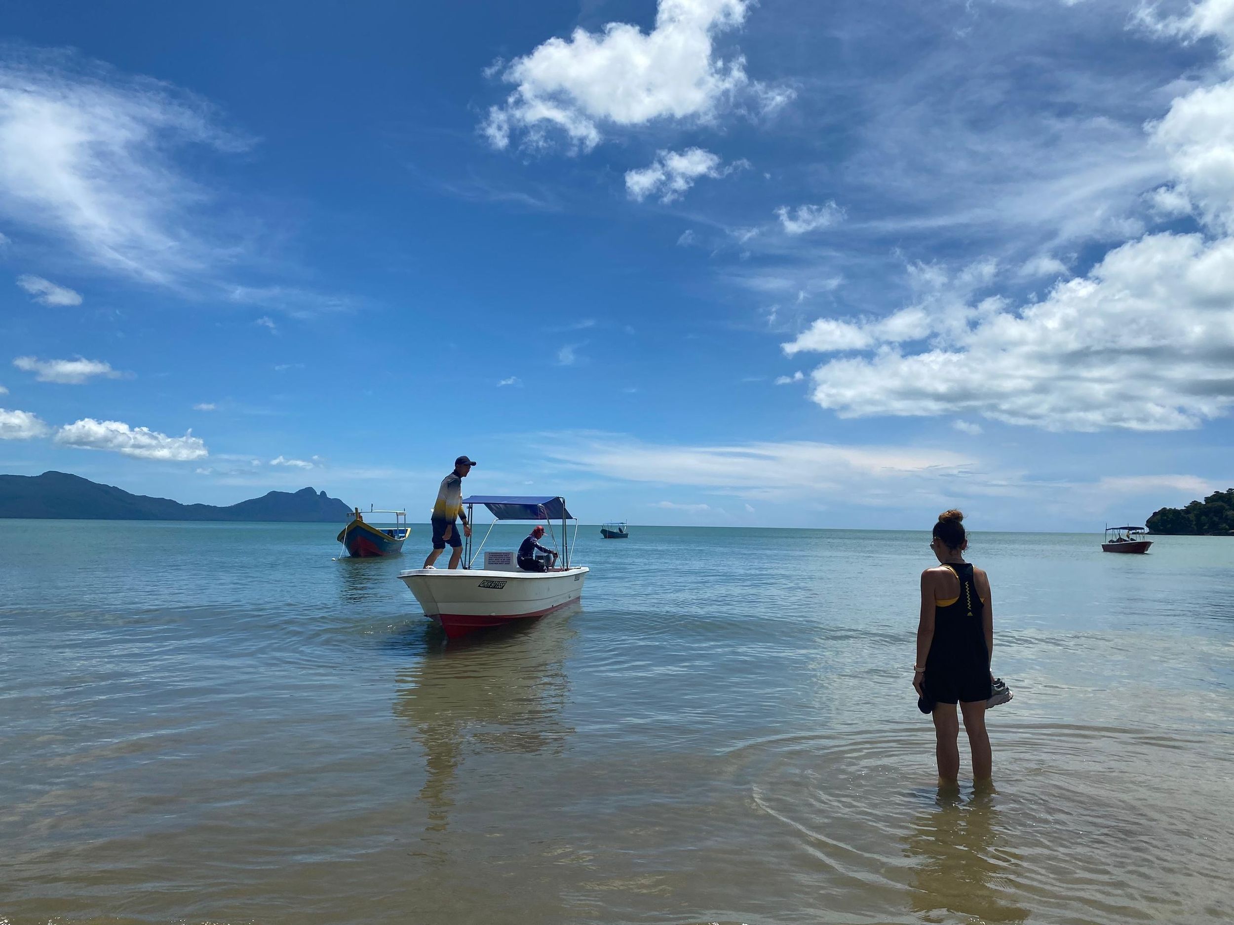 Kuching: 2-tägige Tour zu Wildtieren in Bako & Regenwald in Permai