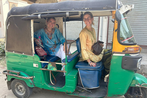 Jaipur : Tour privato guidato di un giorno intero in Tuk-Tuk