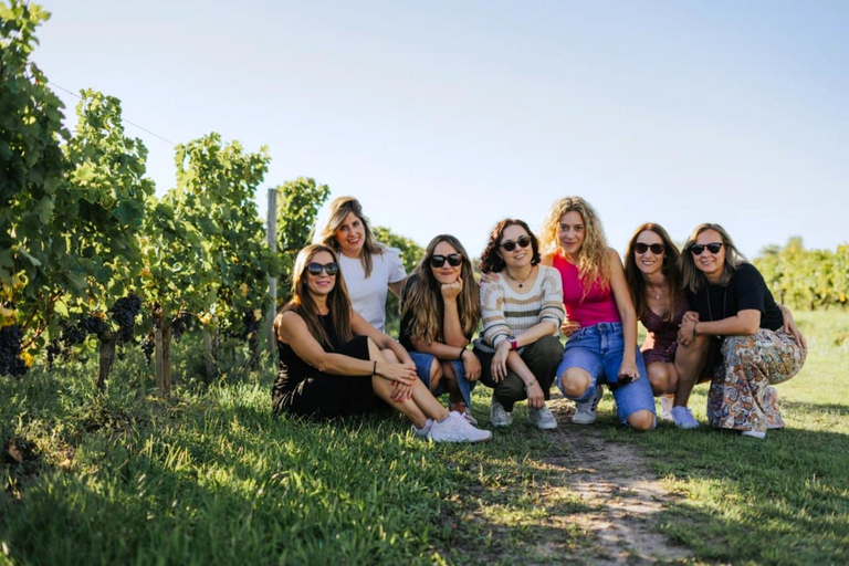 Depuis Bordeaux : dégustation de vins à Saint-Emilion