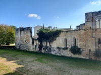 Enjoy Saint-Emilion with a Wine Tasting in 5 hours. - Housity