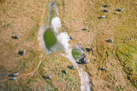 45-Minute Cessna Flight over the Okavango Delta from Maun