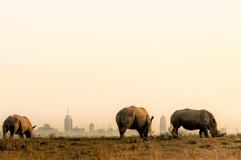 Olifantenweeshuis en Nairobi National Park 's middags spel