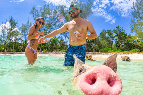 Nassau: Pigs Beach Trip by Boat with Swimming and Feeding
