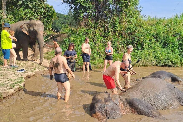 مغامرة لمدة 2-3 أيام في شيانغ ماي: قبائل التلال والفيلة والنهر2 أيام 1 ليلة واحدة: الحياة المحلية ورعا